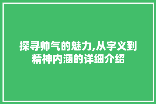 探寻帅气的魅力,从字义到精神内涵的详细介绍