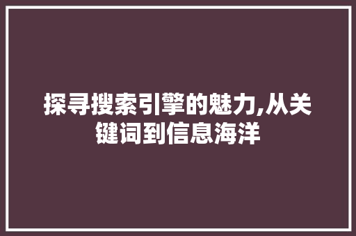 探寻搜索引擎的魅力,从关键词到信息海洋
