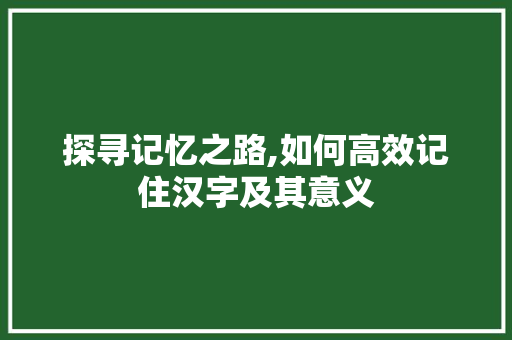 探寻记忆之路,如何高效记住汉字及其意义