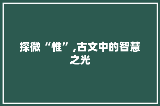 探微“惟”,古文中的智慧之光