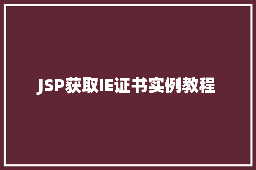JSP获取IE证书实例教程