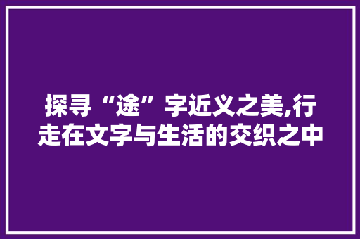 探寻“途”字近义之美,行走在文字与生活的交织之中