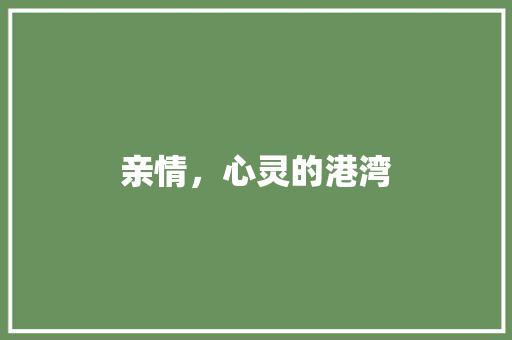 亲情，心灵的港湾