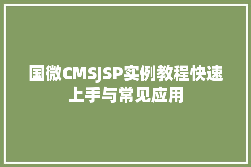 国微CMSJSP实例教程快速上手与常见应用
