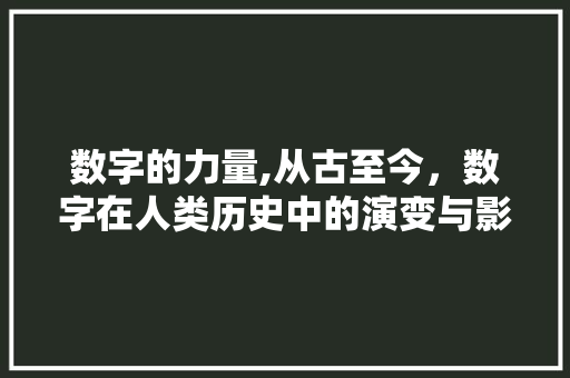 数字的力量,从古至今，数字在人类历史中的演变与影响