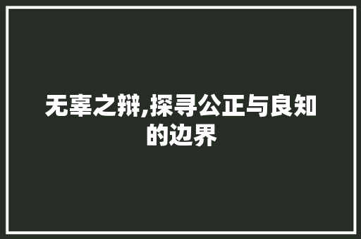 无辜之辩,探寻公正与良知的边界