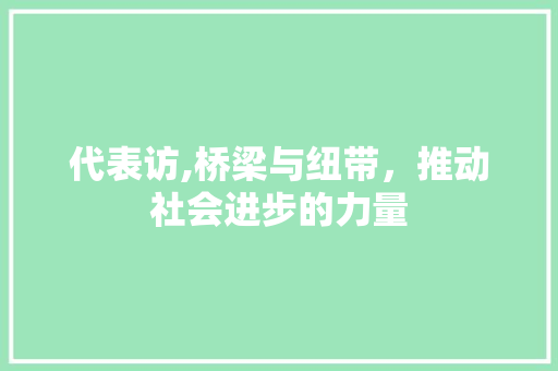 代表访,桥梁与纽带，推动社会进步的力量