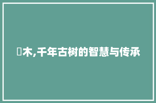 柮木,千年古树的智慧与传承