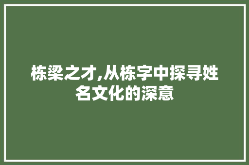 栋梁之才,从栋字中探寻姓名文化的深意