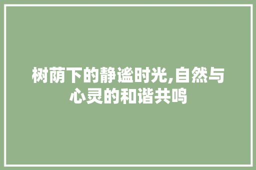 树荫下的静谧时光,自然与心灵的和谐共鸣