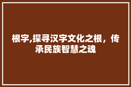 根字,探寻汉字文化之根,传承民族智慧之魂