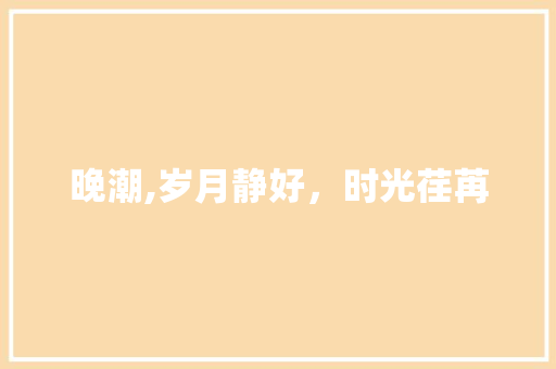 晚潮,岁月静好,时光荏苒