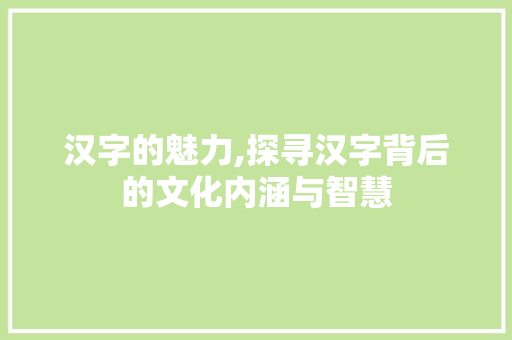 汉字的魅力,探寻汉字背后的文化内涵与智慧