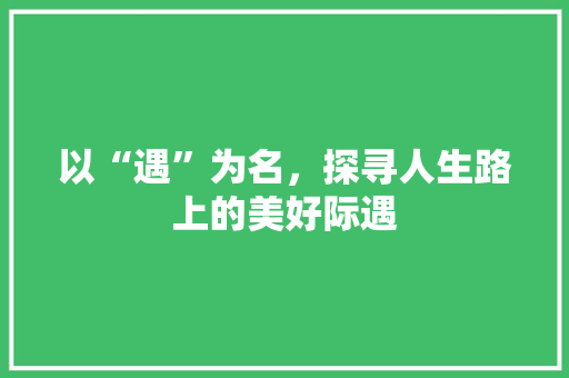 以“遇”为名，探寻人生路上的美好际遇