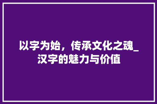 以字为始，传承文化之魂_汉字的魅力与价值