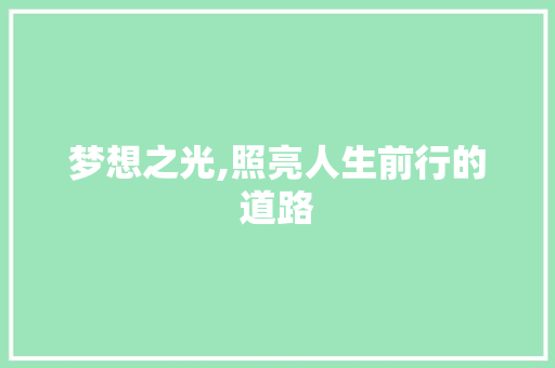 梦想之光,照亮人生前行的道路