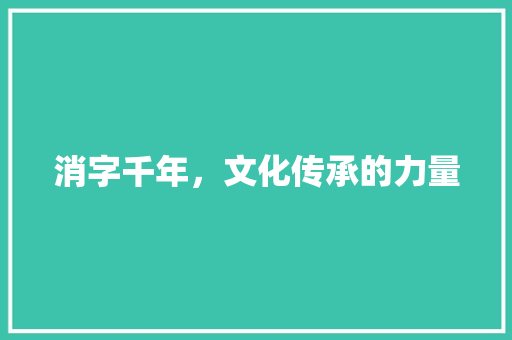 消字千年，文化传承的力量