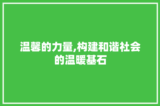 温馨的力量,构建和谐社会的温暖基石