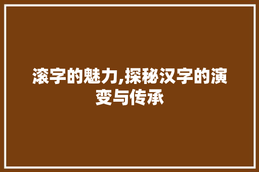 滚字的魅力,探秘汉字的演变与传承