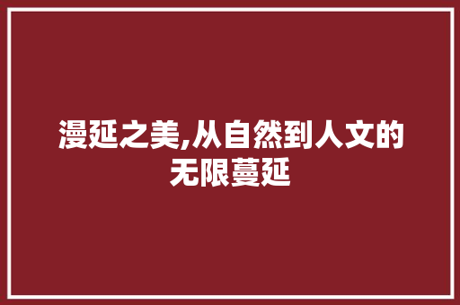 漫延之美,从自然到人文的无限蔓延