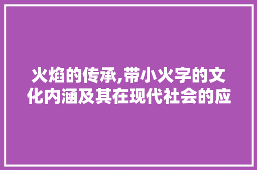 火焰的传承,带小火字的文化内涵及其在现代社会的应用