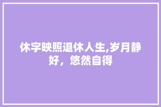 休字映照退休人生,岁月静好，悠然自得