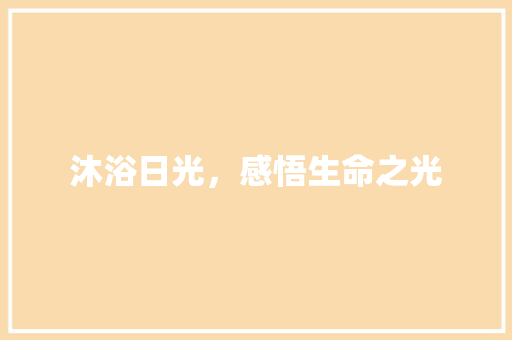 沐浴日光，感悟生命之光