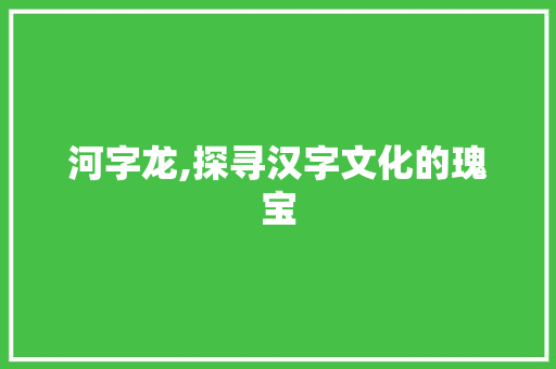 河字龙,探寻汉字文化的瑰宝