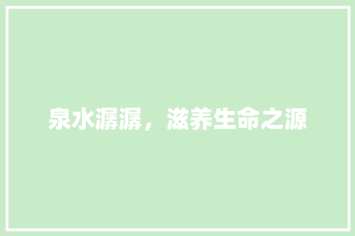 泉水潺潺，滋养生命之源