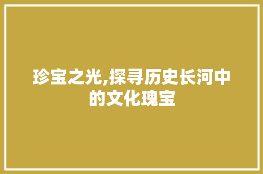 珍宝之光,探寻历史长河中的文化瑰宝