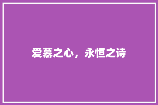爱慕之心，永恒之诗