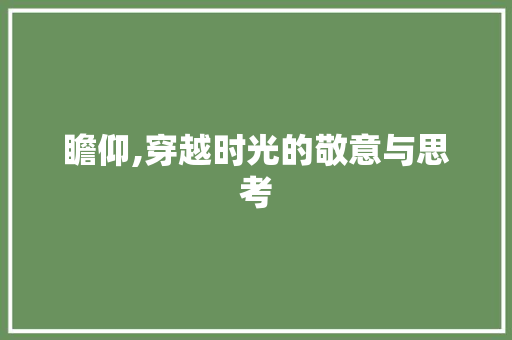 瞻仰,穿越时光的敬意与思考