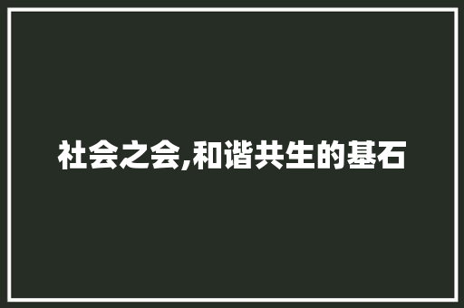 社会之会,和谐共生的基石