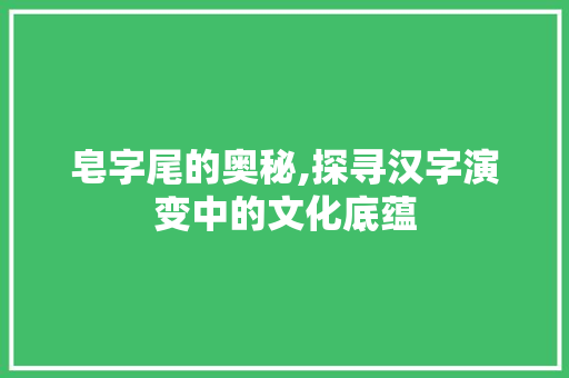 皂字尾的奥秘,探寻汉字演变中的文化底蕴