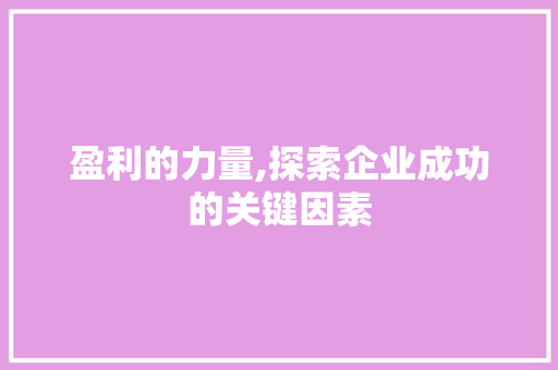盈利的力量,探索企业成功的关键因素