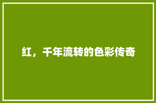 红，千年流转的色彩传奇