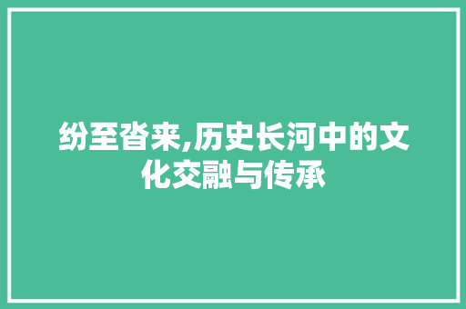 纷至沓来,历史长河中的文化交融与传承