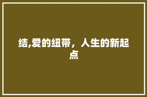 结,爱的纽带,人生的新起点