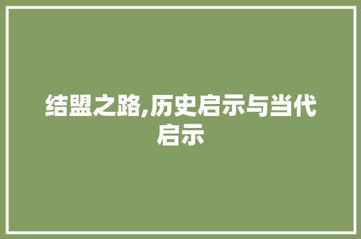 结盟之路,历史启示与当代启示