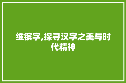 维镔字,探寻汉字之美与时代精神