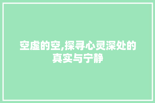 空虚的空,探寻心灵深处的真实与宁静