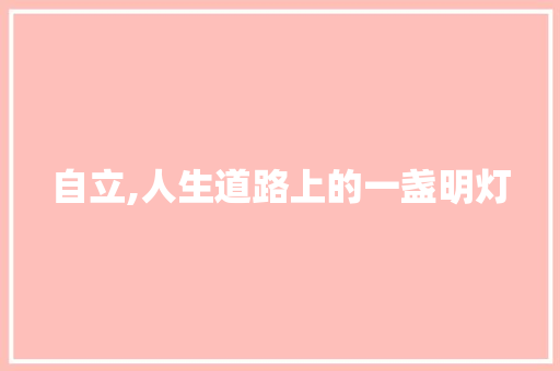 自立,人生道路上的一盏明灯