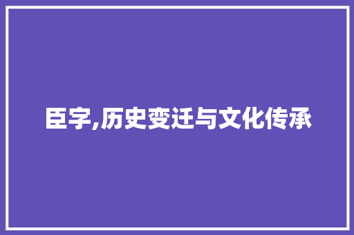 臣字,历史变迁与文化传承