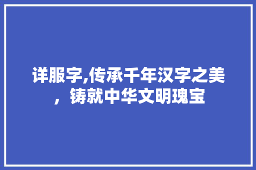 详服字,传承千年汉字之美，铸就中华文明瑰宝