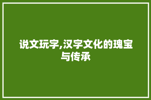 说文玩字,汉字文化的瑰宝与传承