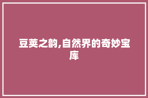 豆荚之韵,自然界的奇妙宝库