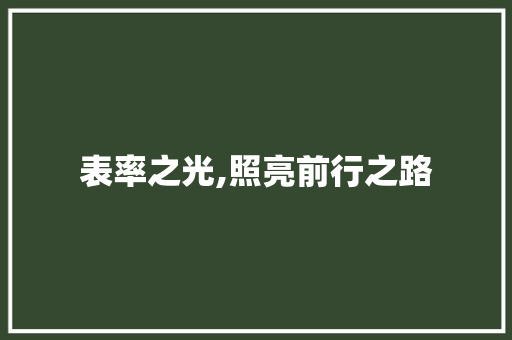 表率之光,照亮前行之路