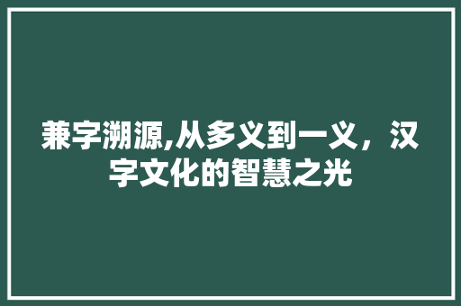 兼字溯源,从多义到一义，汉字文化的智慧之光