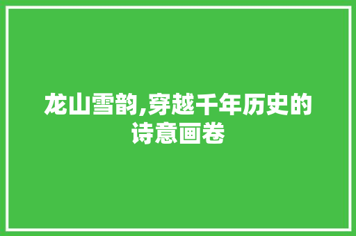 龙山雪韵,穿越千年历史的诗意画卷