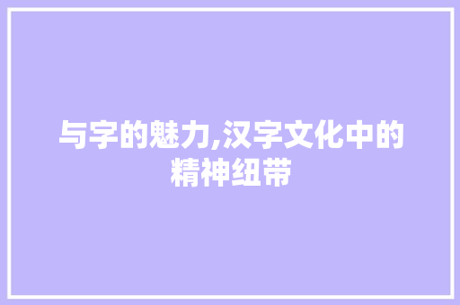 与字的魅力,汉字文化中的精神纽带